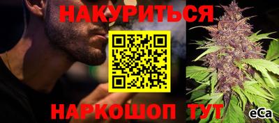 индика Абинск