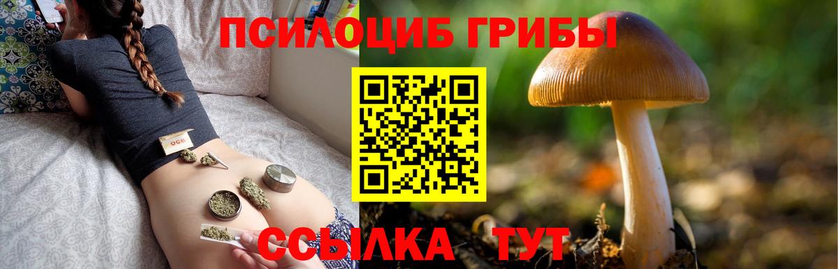 Апатиты  Галлюциногенные грибы GOLDEN TEACHER  Вход с VPN  Галлюциногенные грибы мицелий 